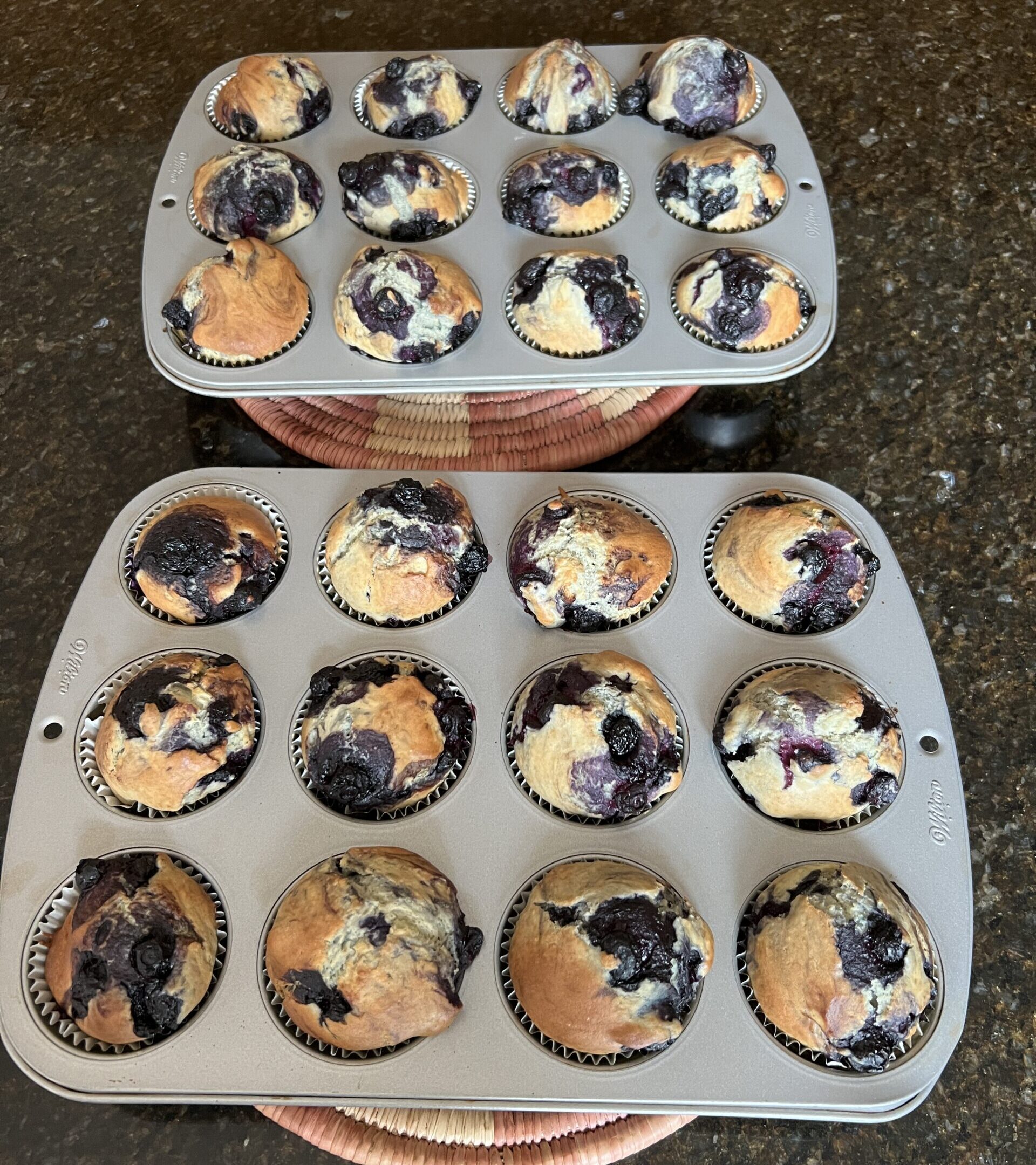 Blueberry Muffins (24 muffins)
